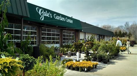 gale's garden center willoughby  Promotes root growth for all seedlings and cuttings